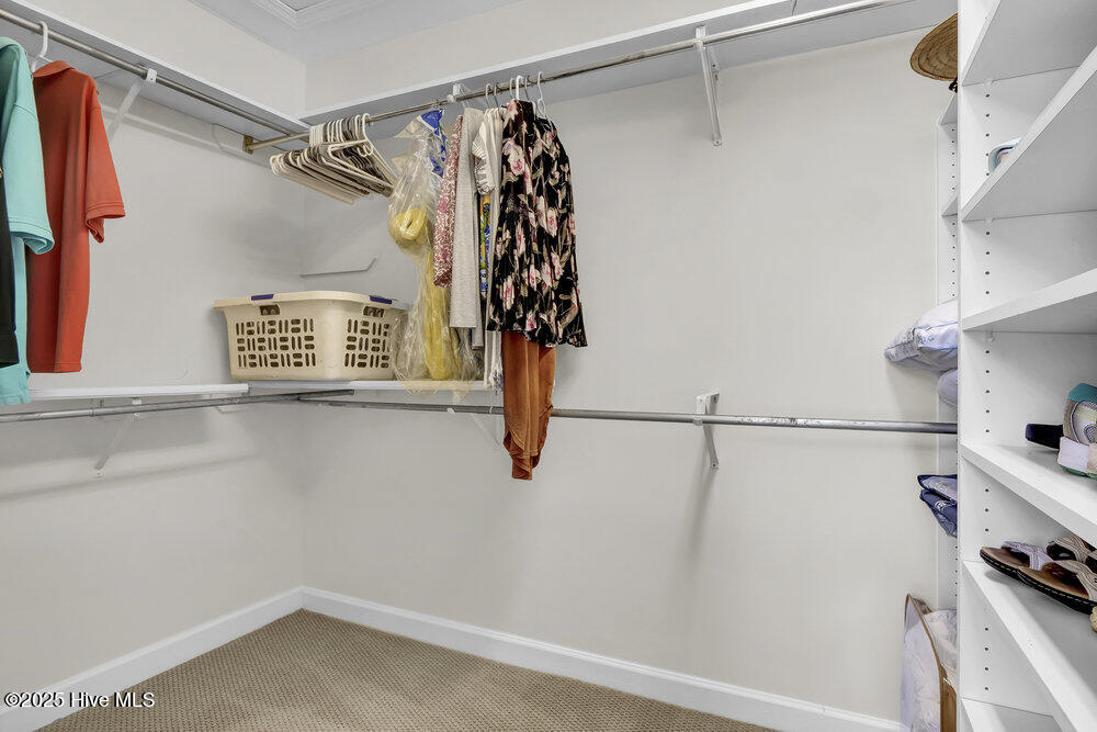 100551135 | Photo 22