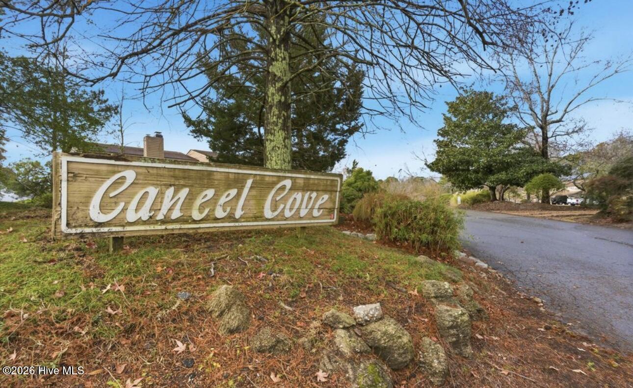 100554147 | Photo 28