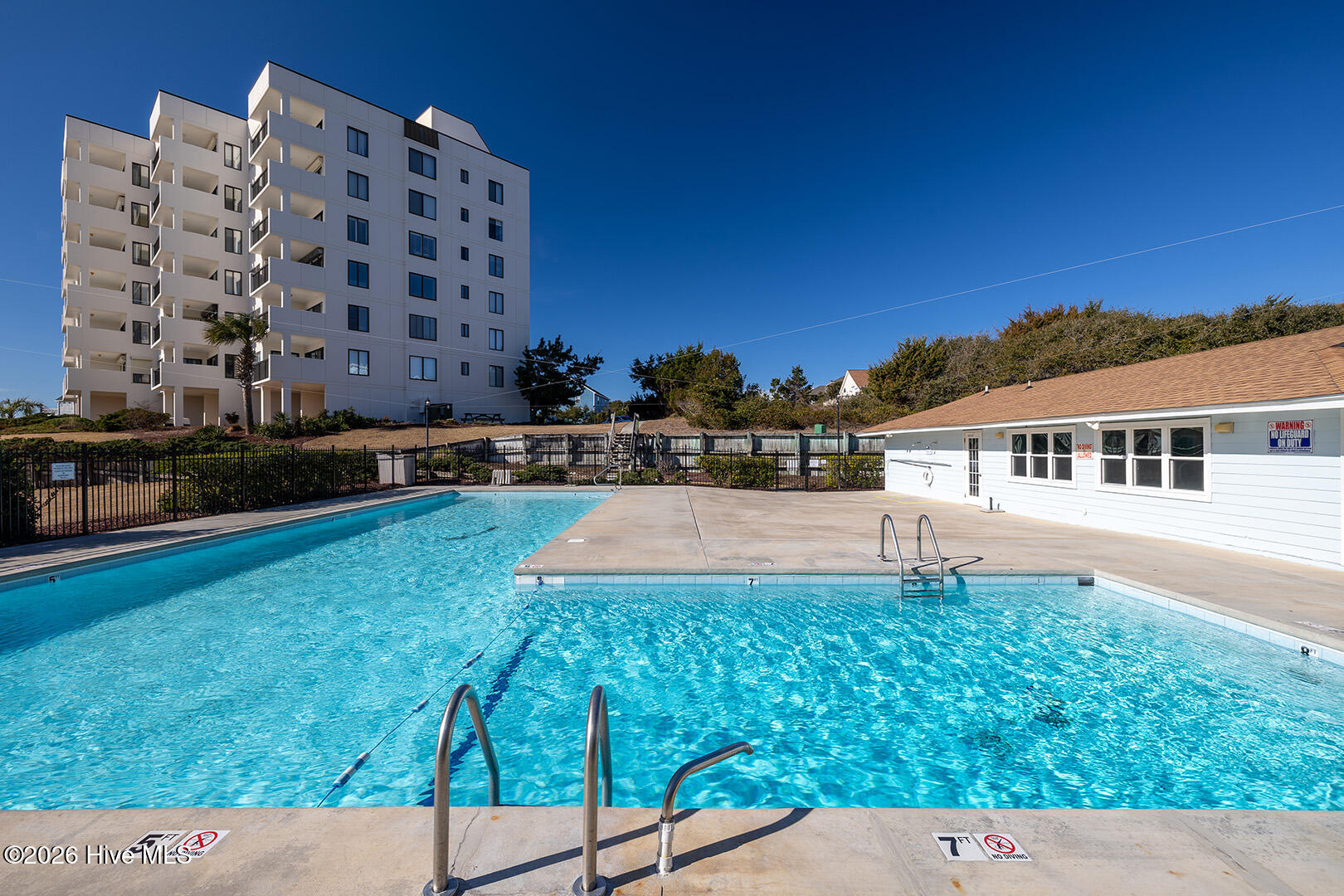 100562169 | Photo 24