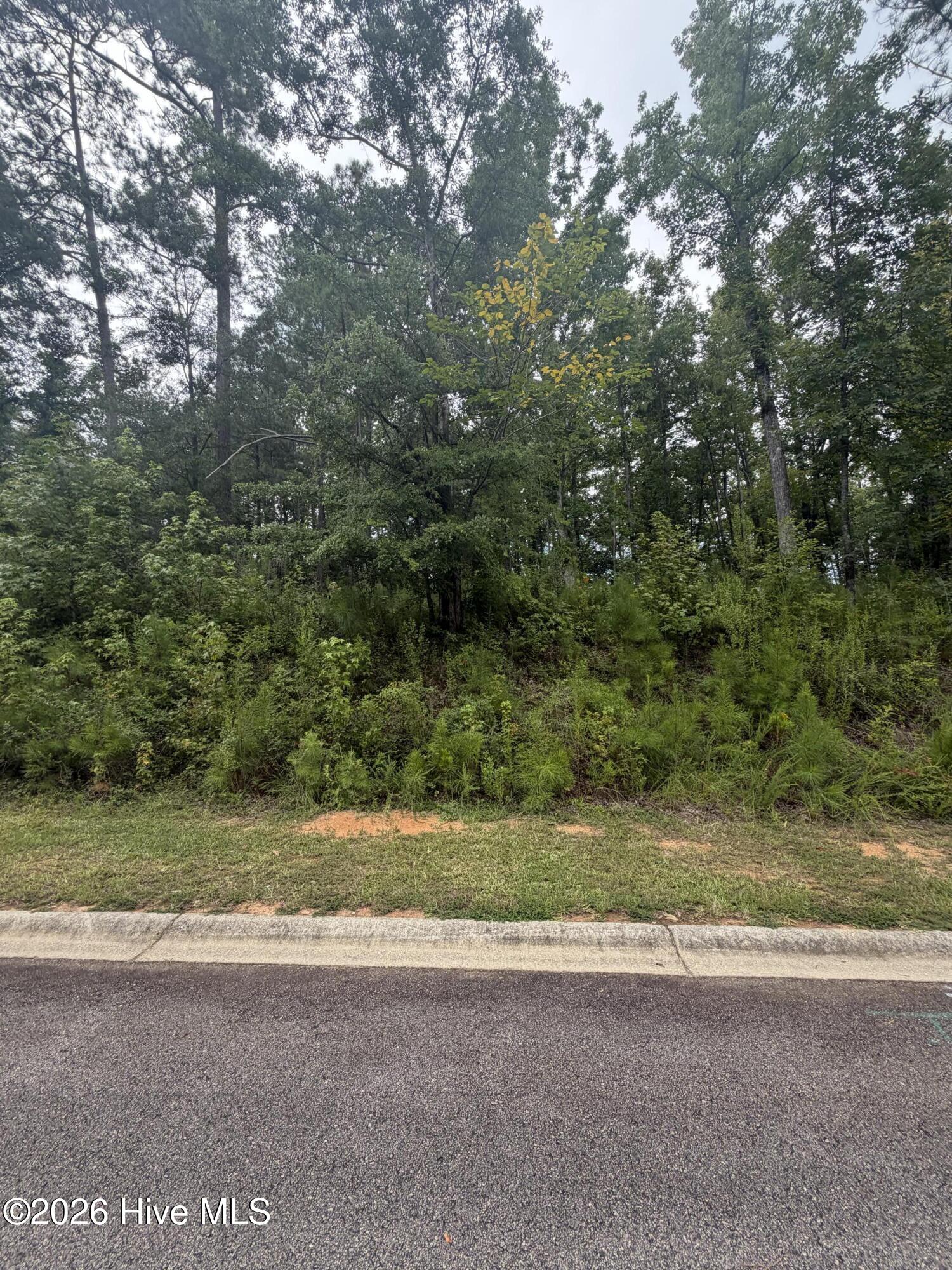 5th image of Lot M-14 Calvary Run, North Augusta, SC 29841 | MLS# 100596594