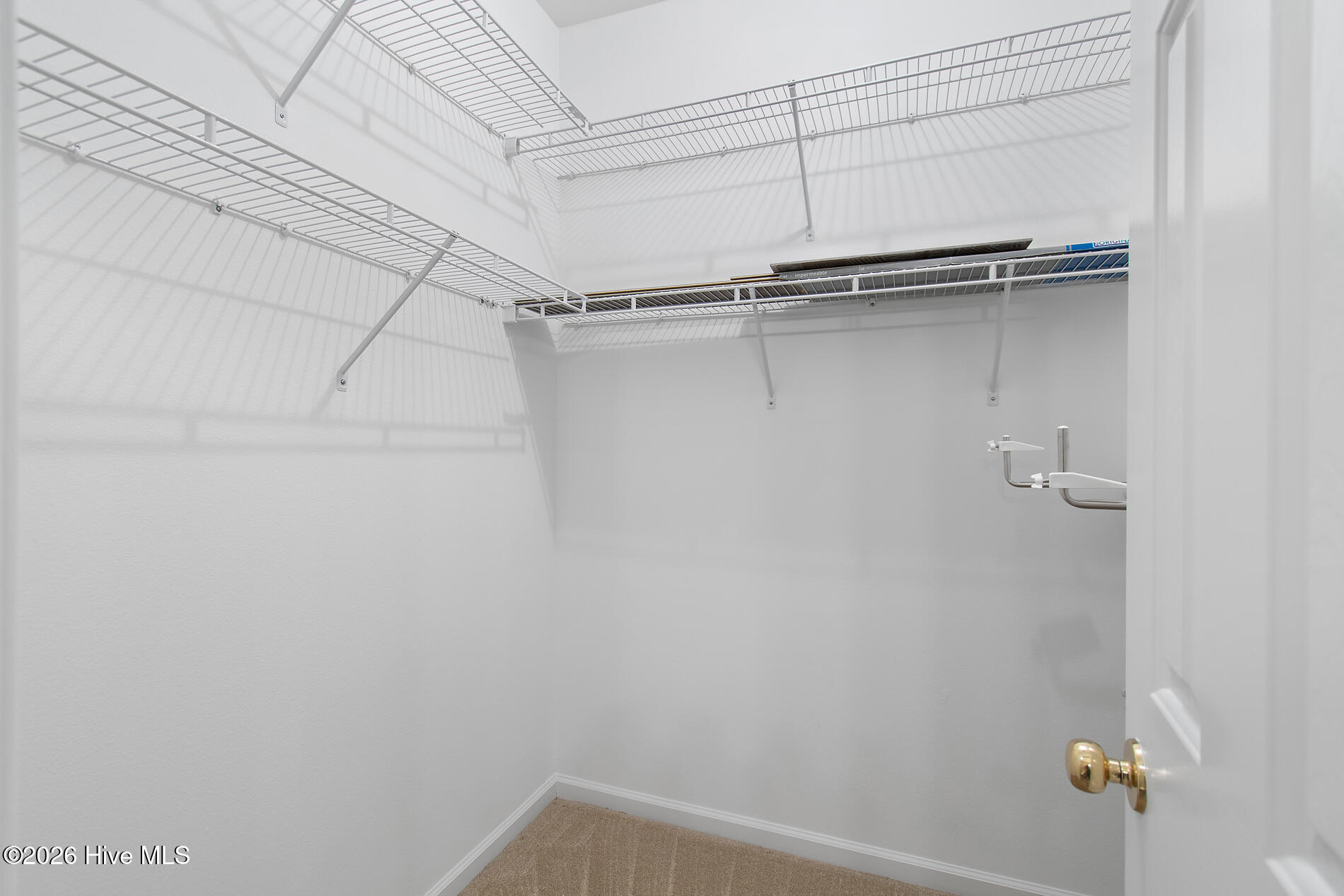 100566917 | Photo 26