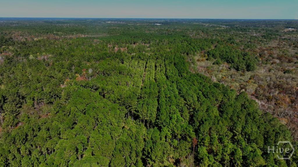 9001 Wilmington Highway, Holly Ridge, NC, 28445