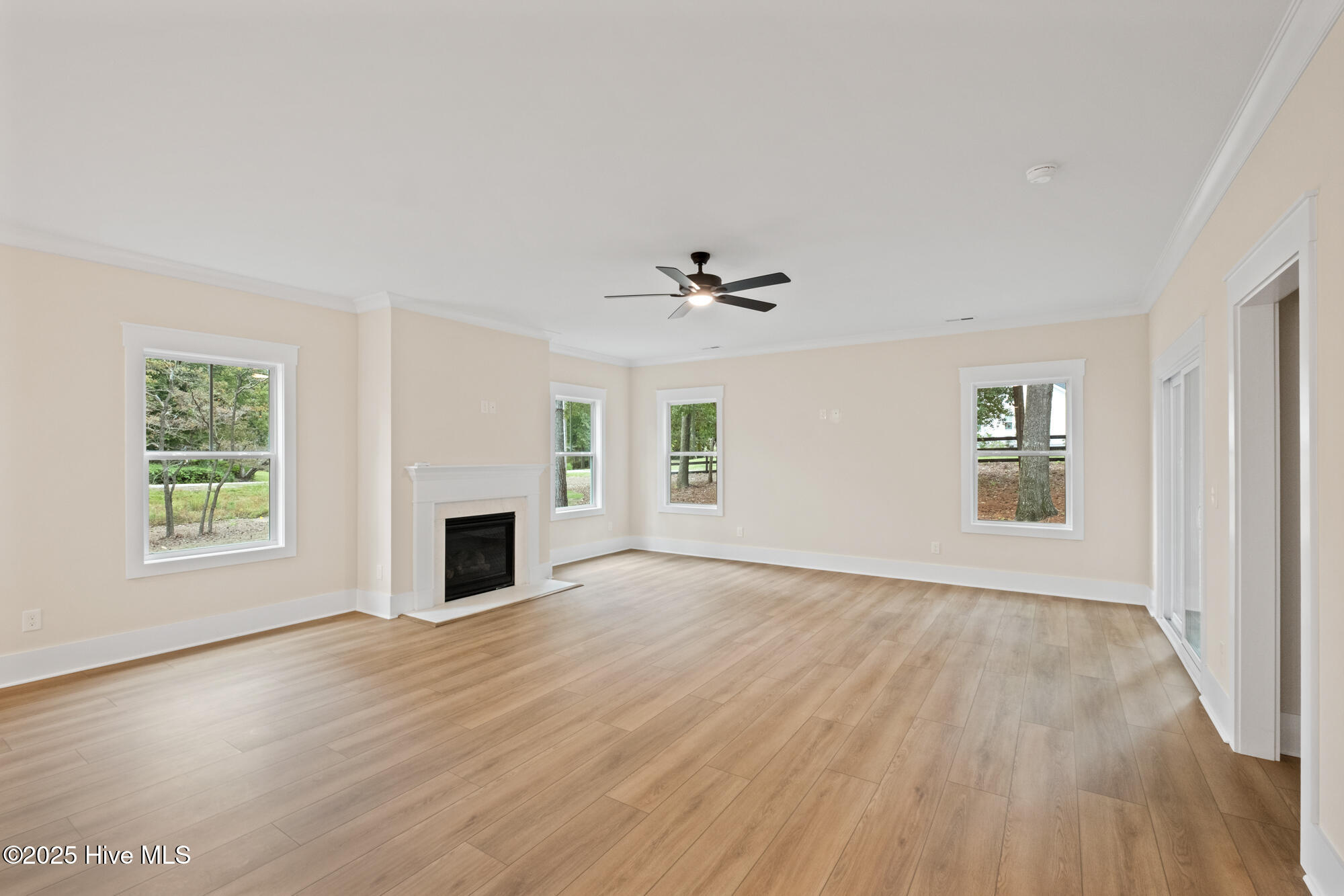 100524304 | Photo 11