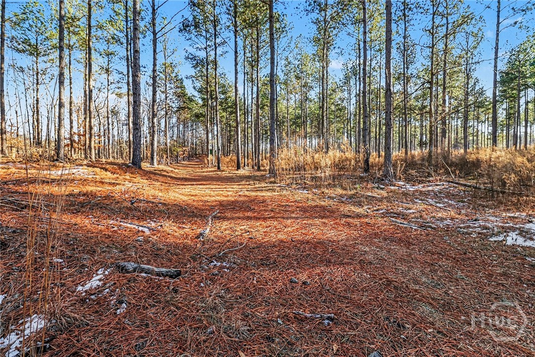 2285 Cherokee Road, Comer, GA, 30629