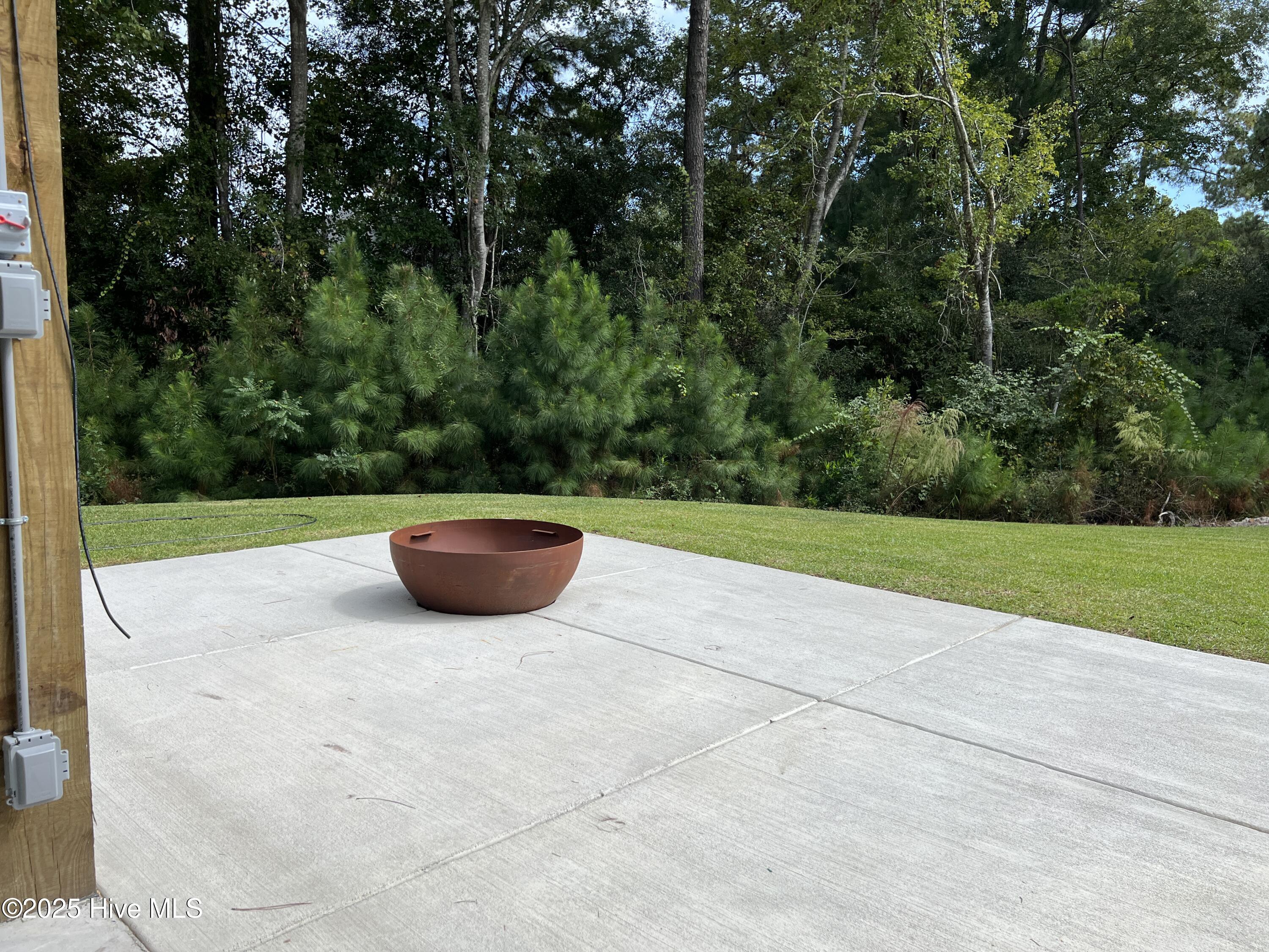 100517039 | Photo 29