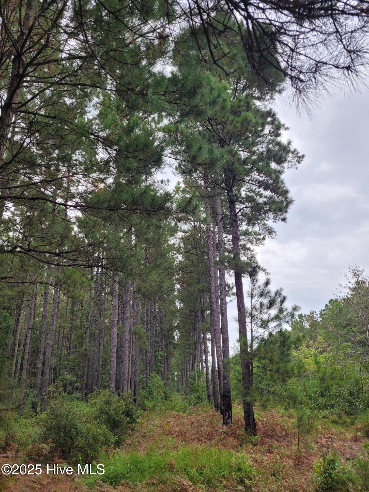 2) 63172-68cd807e54786