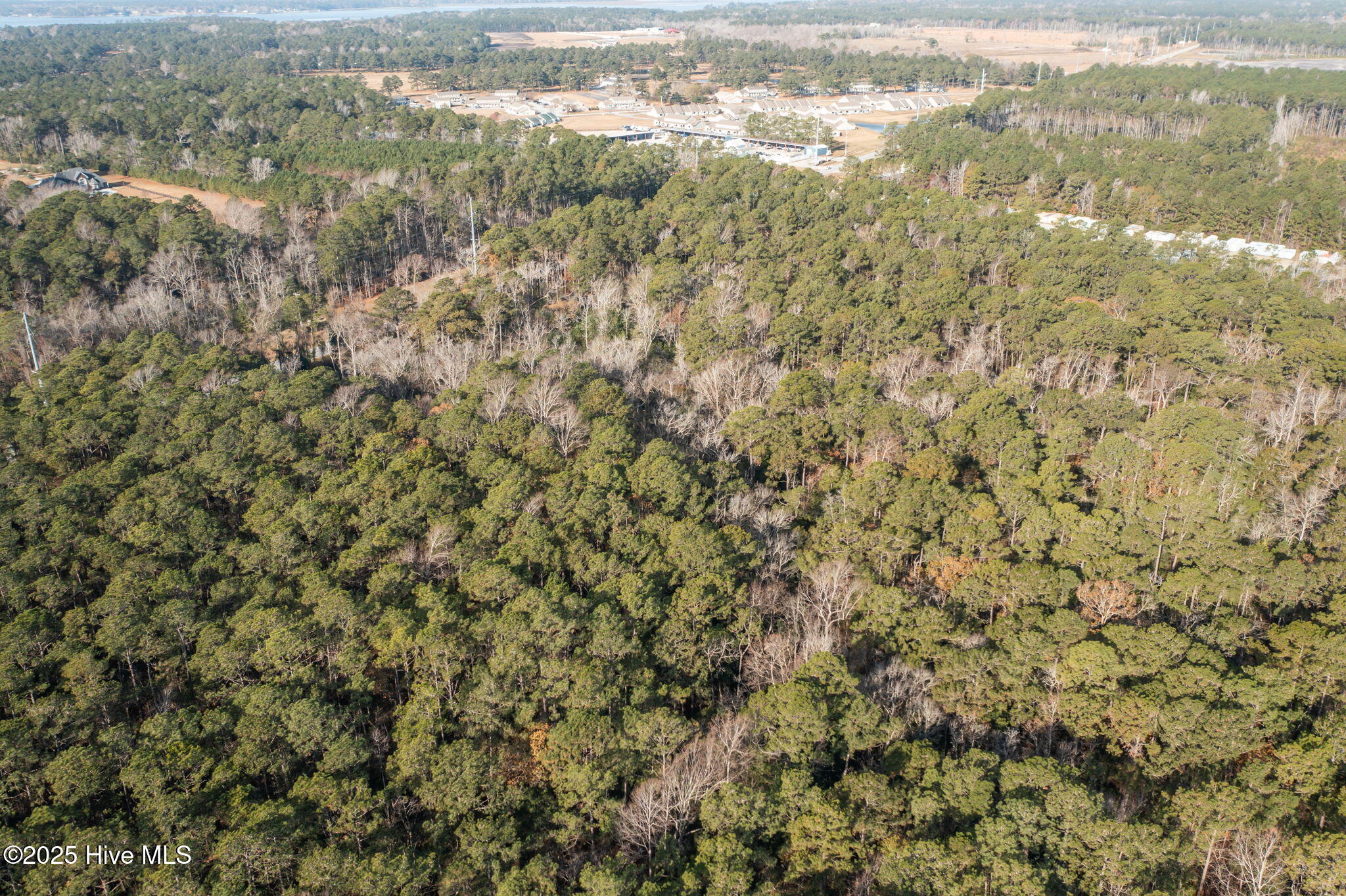 100545682 | Photo 19