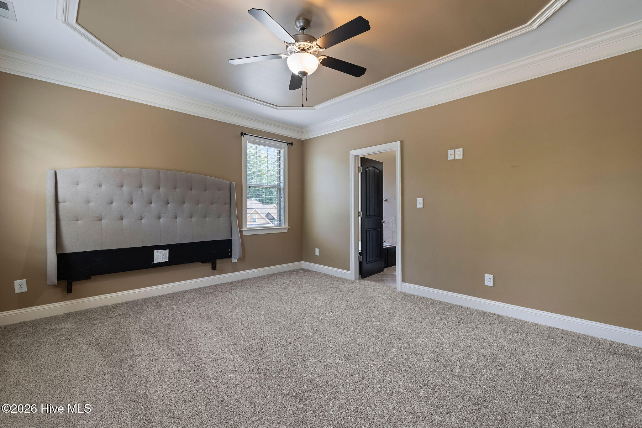 BRAND NEW CARPET