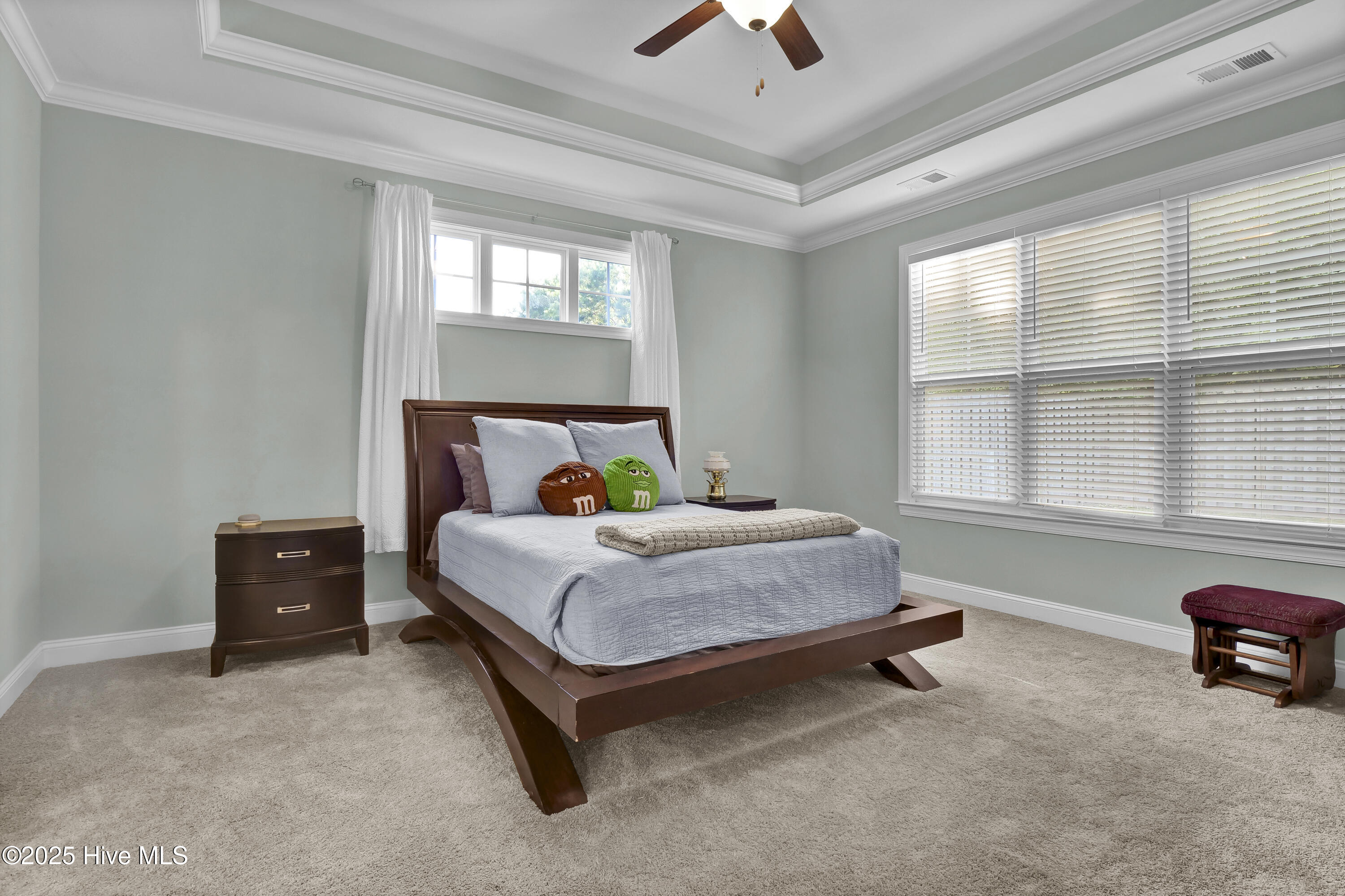 100534693 | Photo 13