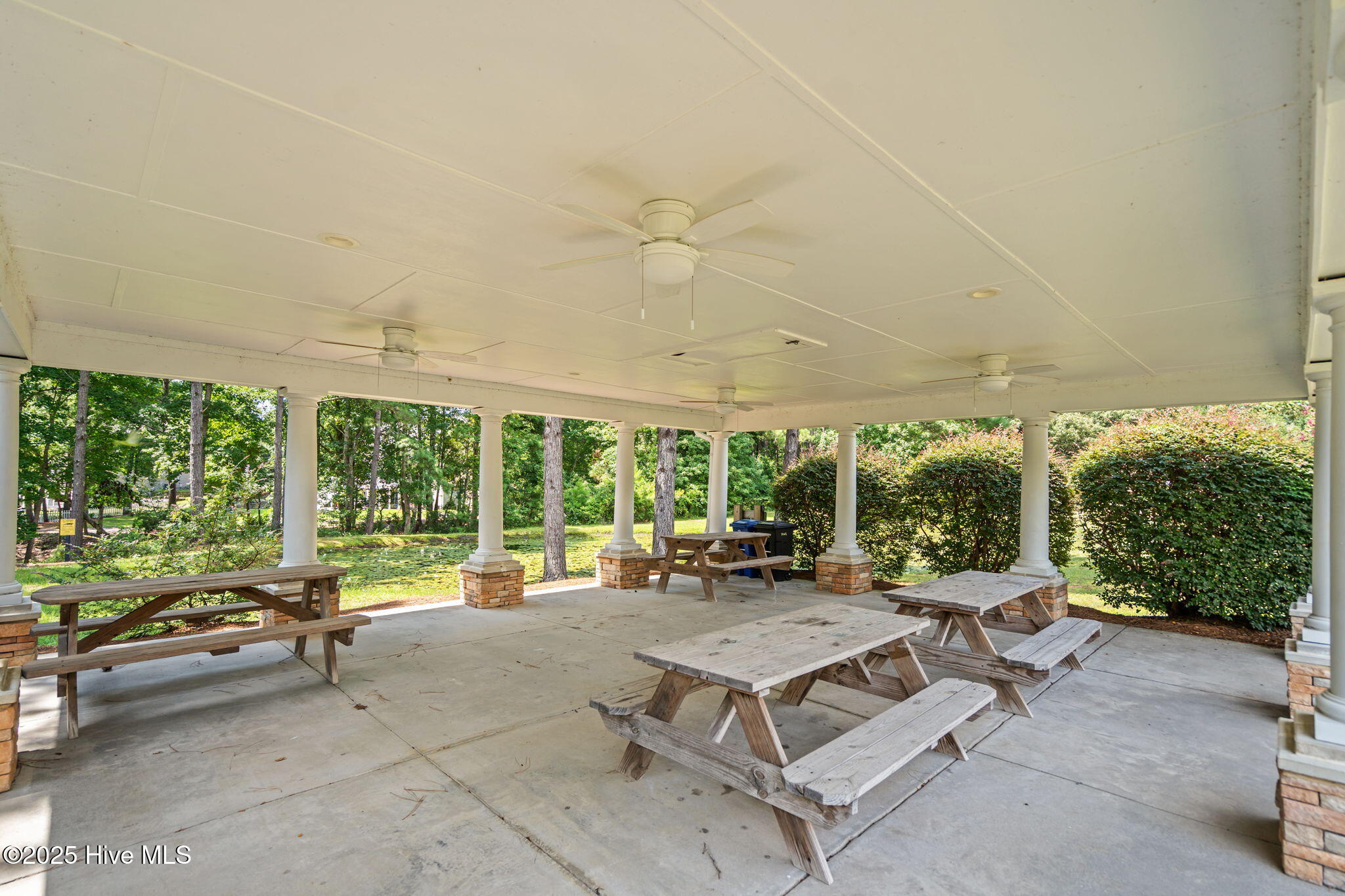 100522493 | Photo 41