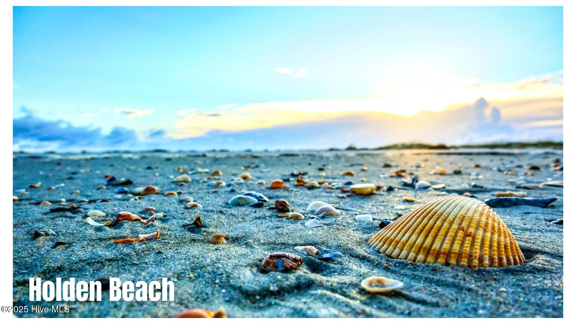 100540899 | Photo 59