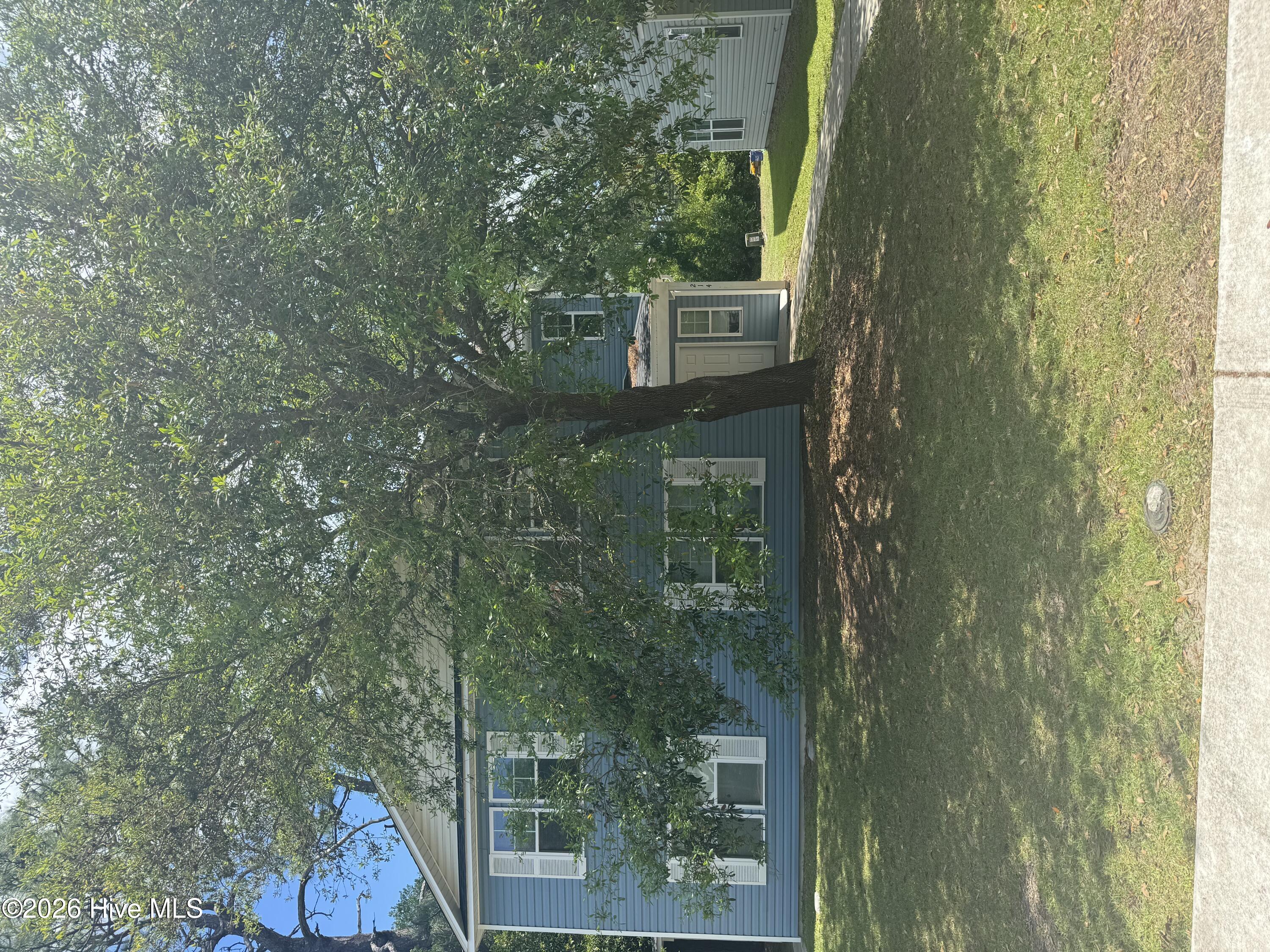 100561897 | Photo 13