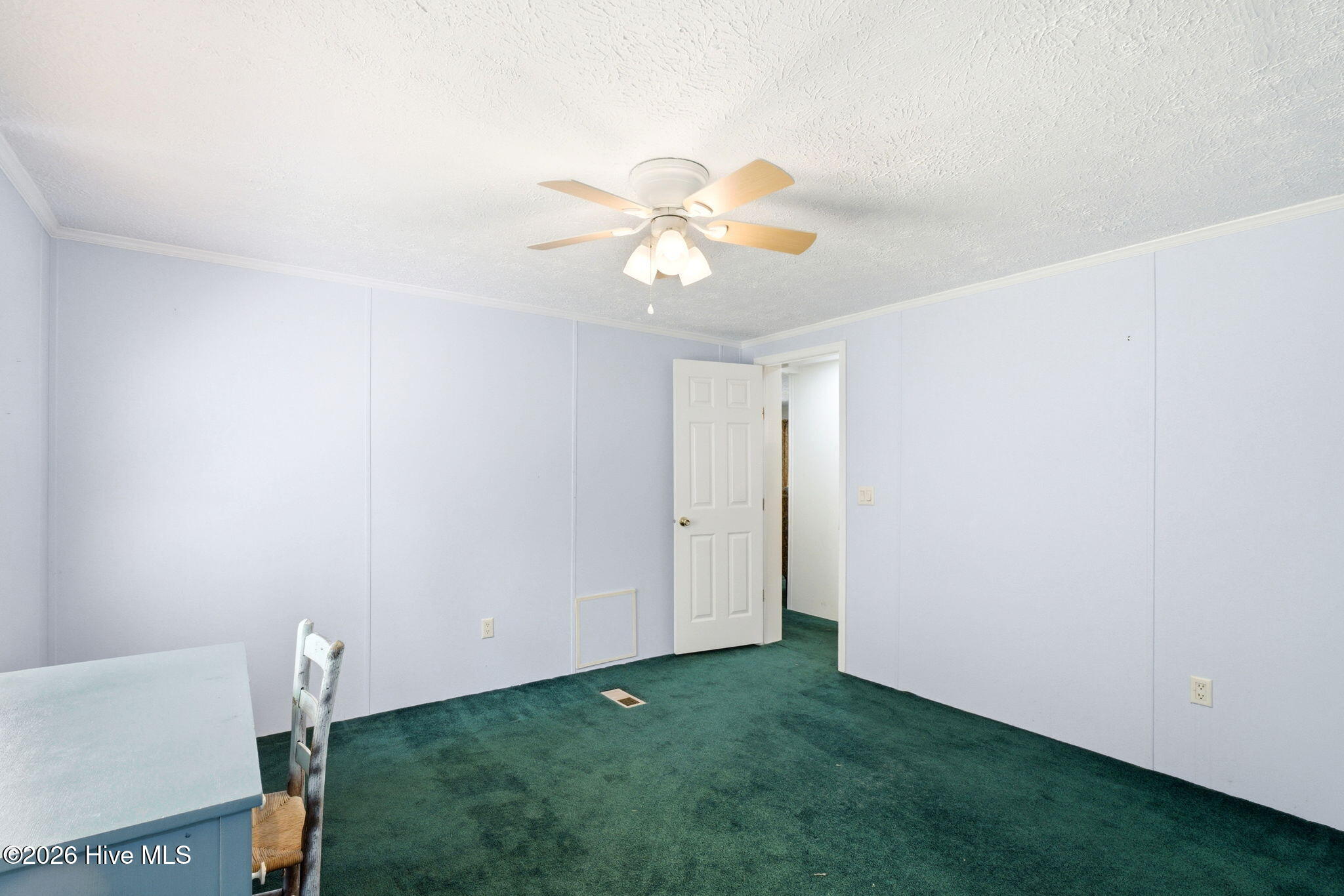 100568157 | Photo 34