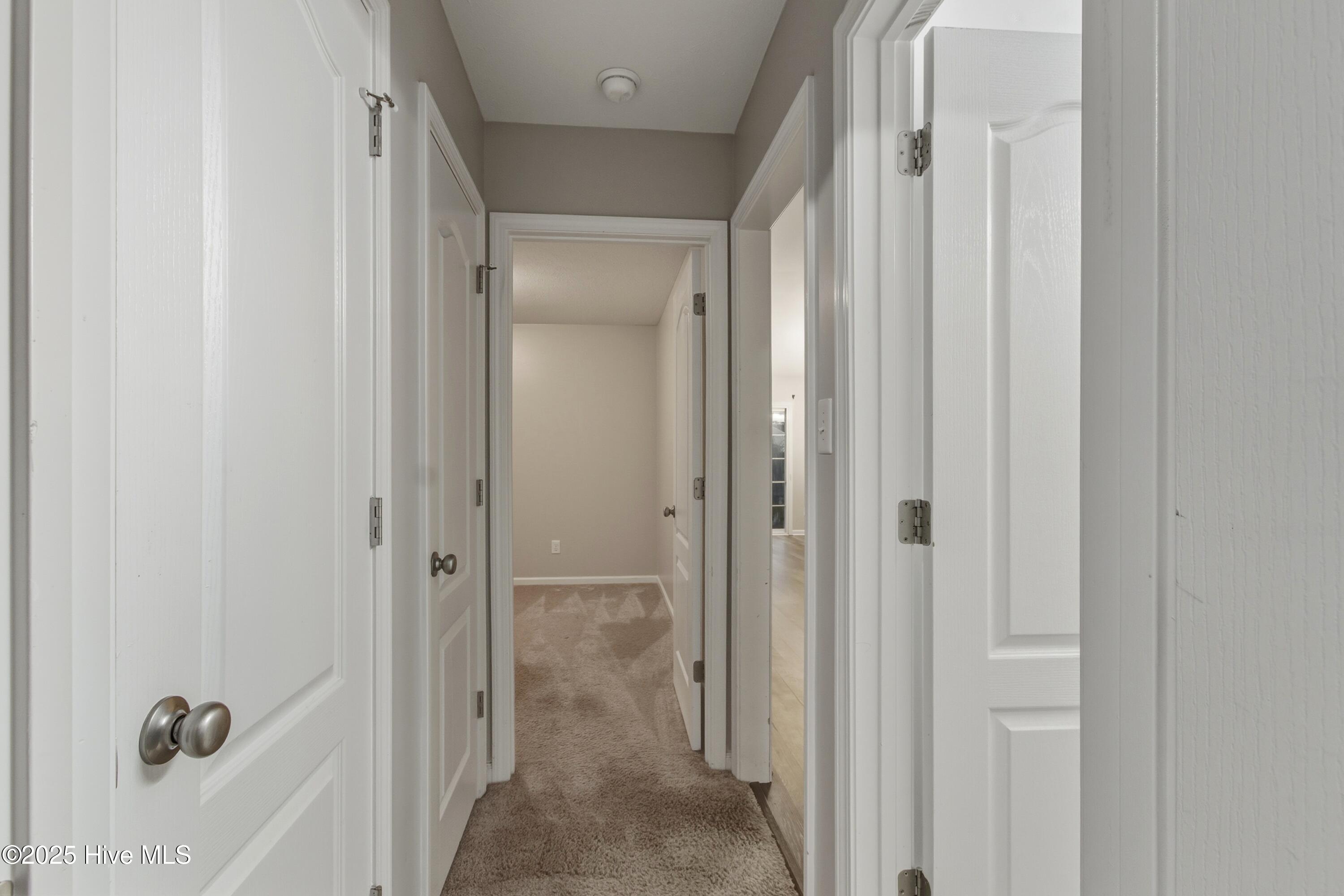 100541237 | Photo 22