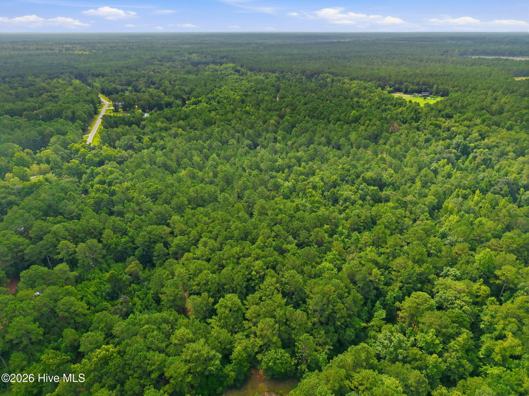 14th image of 0 Copperhead Ln, Burgaw, NC 28425 | MLS# 100592232