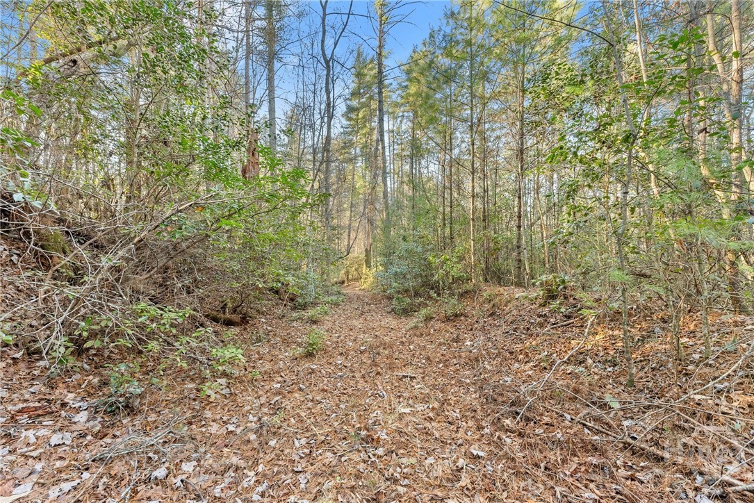 Shoal Creek Tract Habersham County