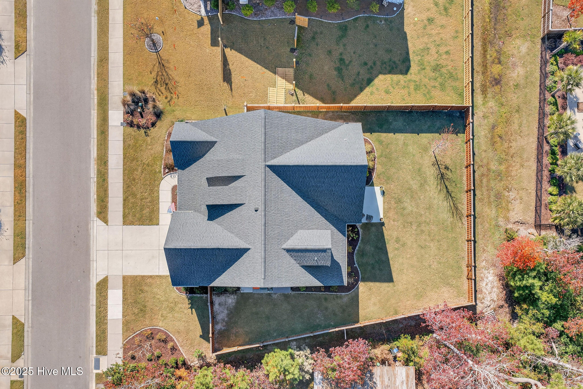 100541568 | Photo 51