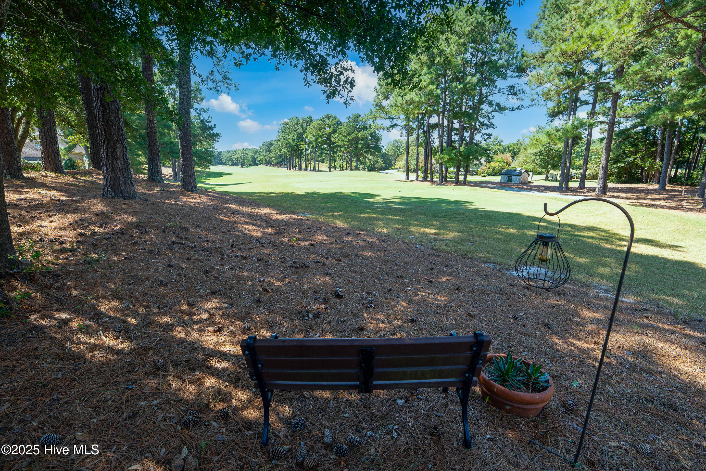 100529477 | Photo 42