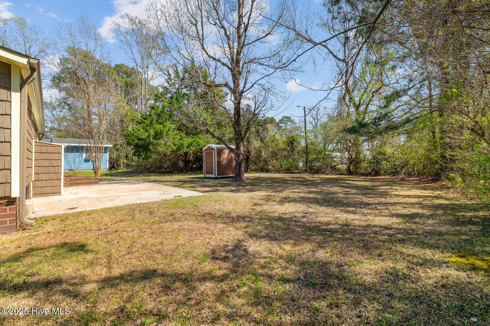 100565795 | Photo 34