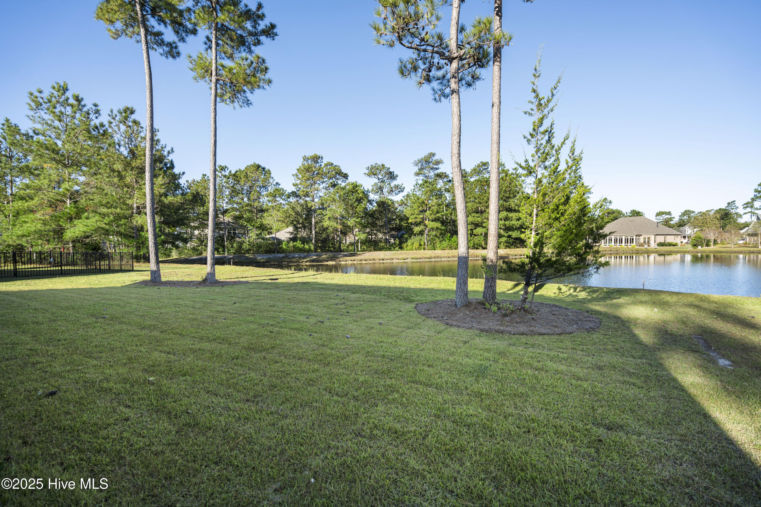 100493135 | Photo 47