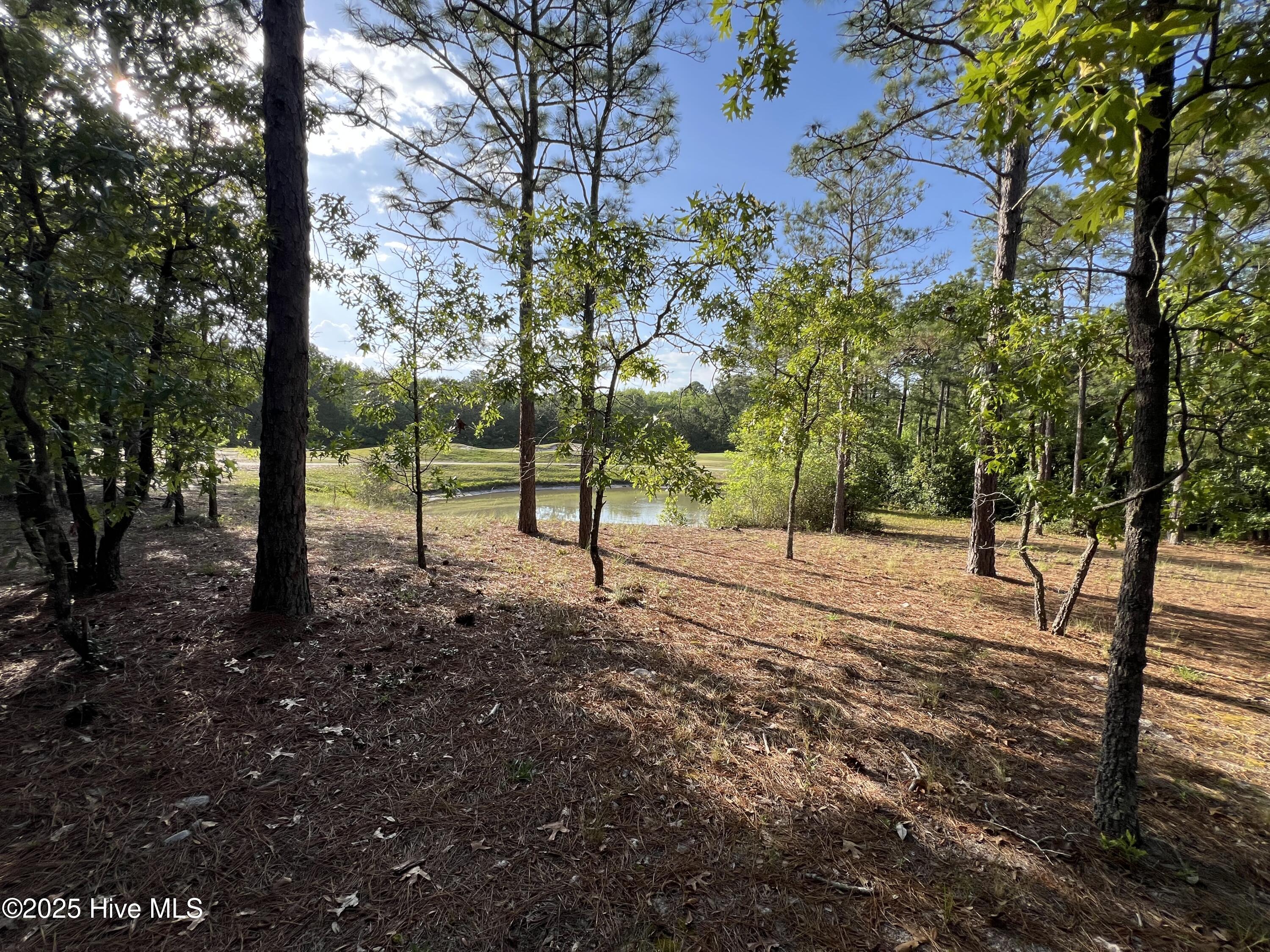 100506027 | Photo 31