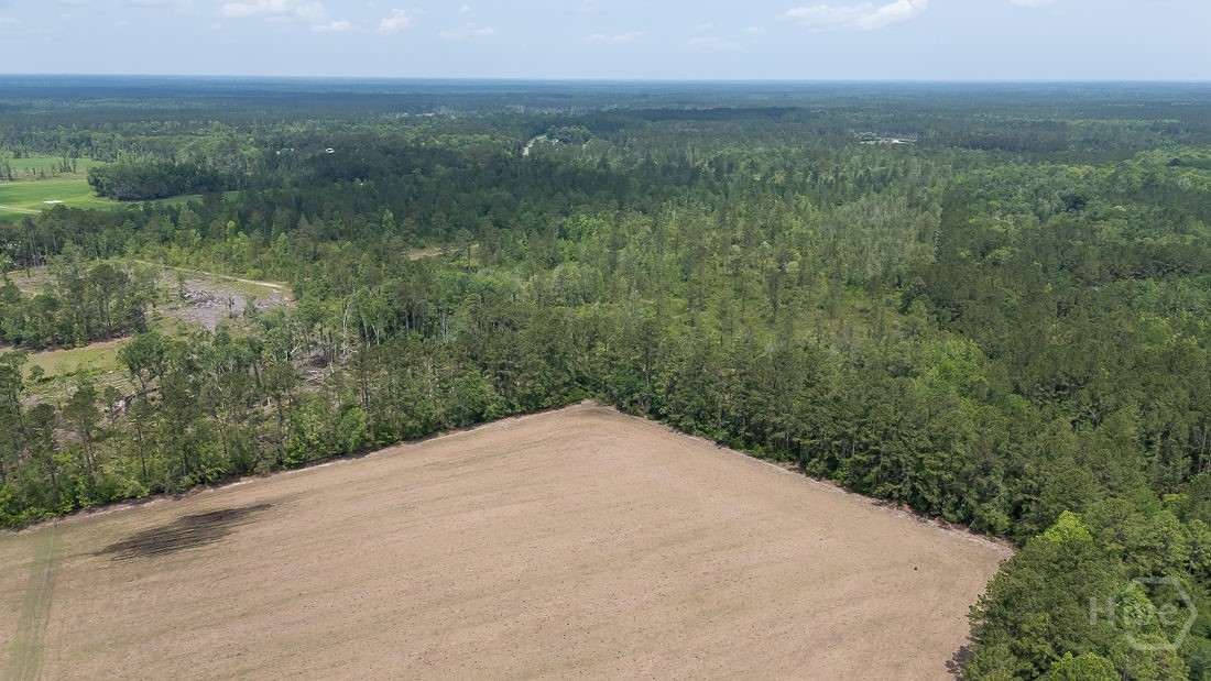 0 Old Louisville Road UNIT Lot 3, Guyton, GA, 31312