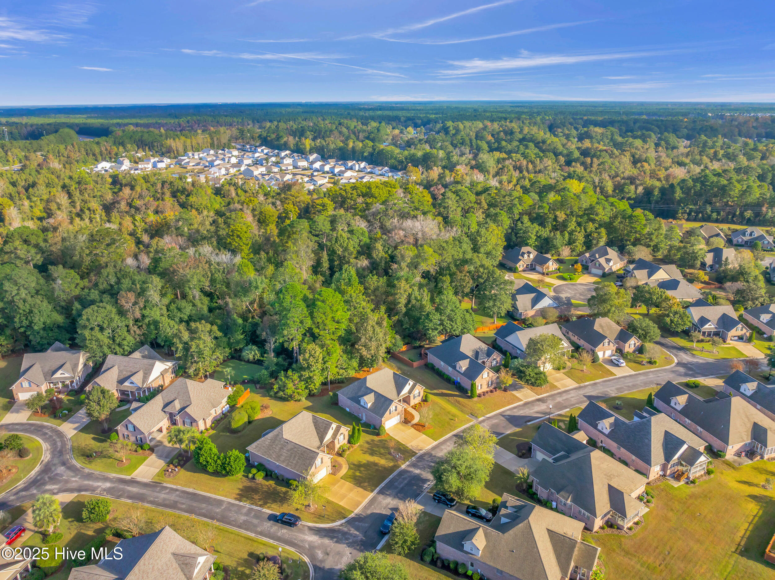 100539518 | Photo 58