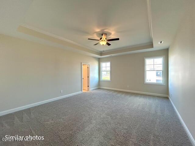 100553886 | Photo 33