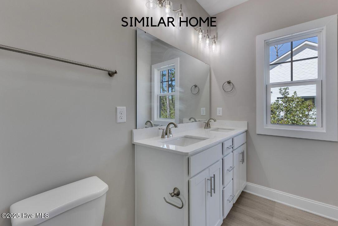 100498465 | Photo 22