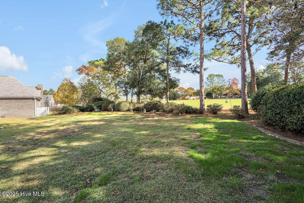 100541437 | Photo 39