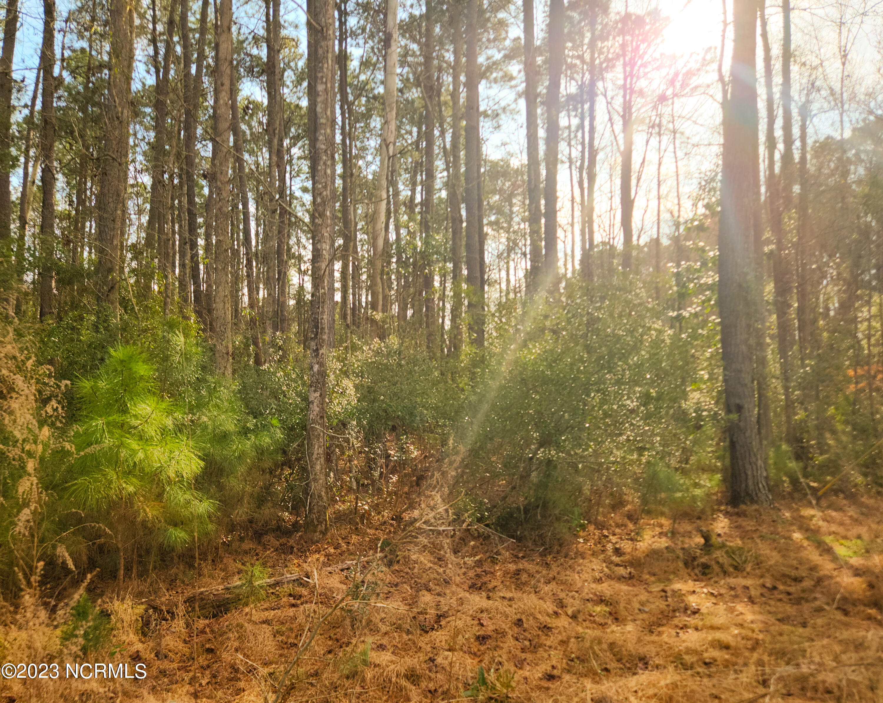 more 153 2 pics_edited 2