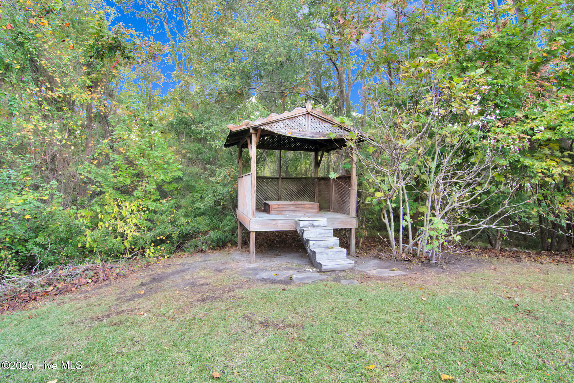 100539589 | Photo 34