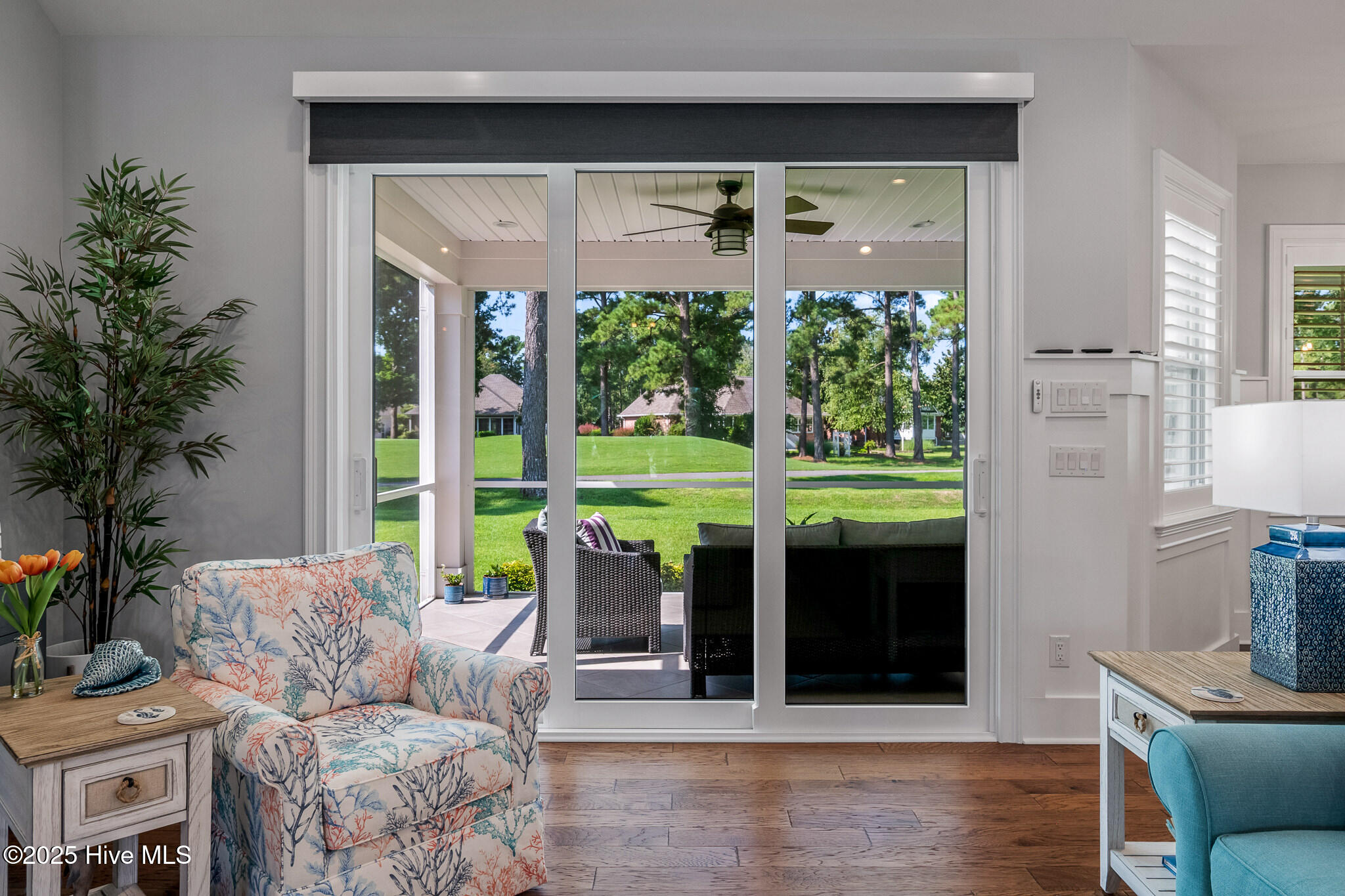 100526725 | Photo 12