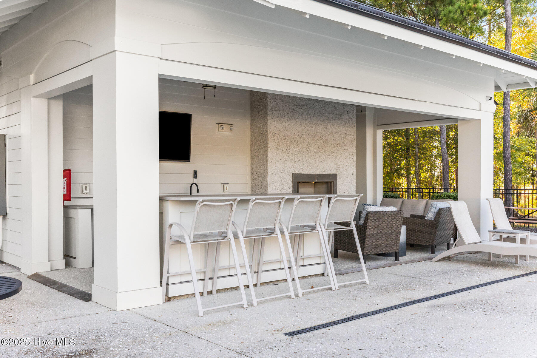 100537930 | Photo 59