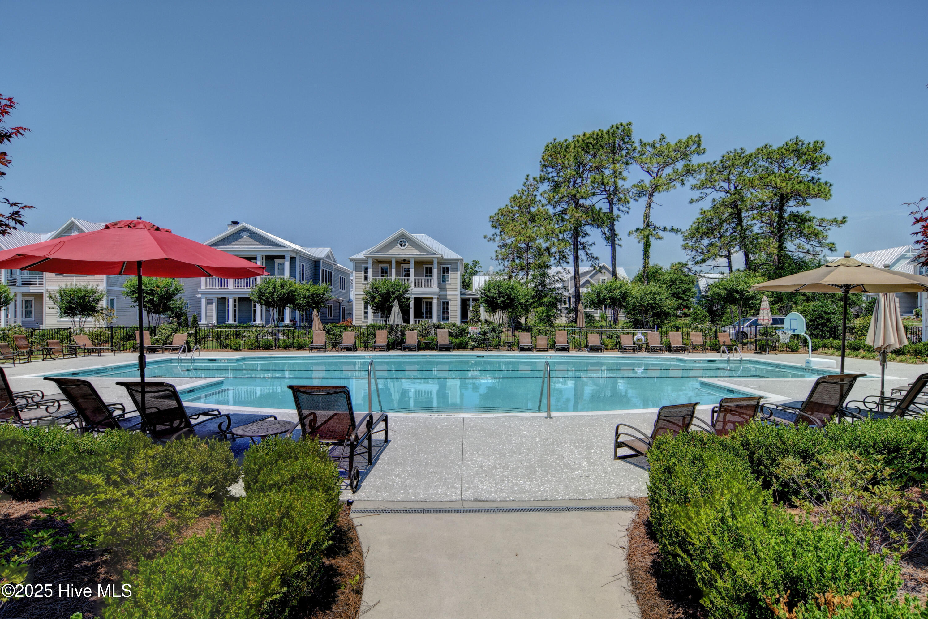 100505829 | Photo 36