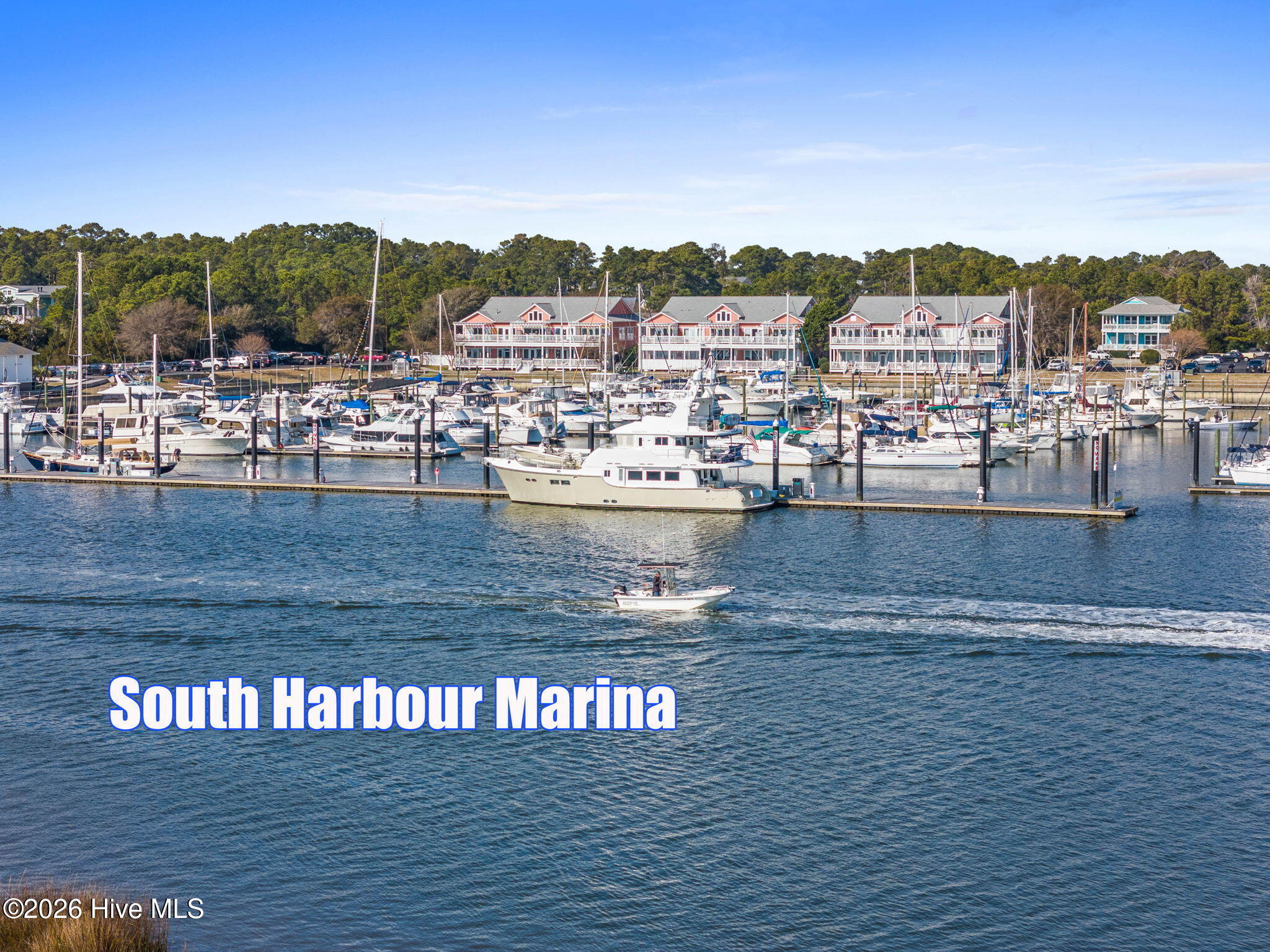 100558158 | Photo 48