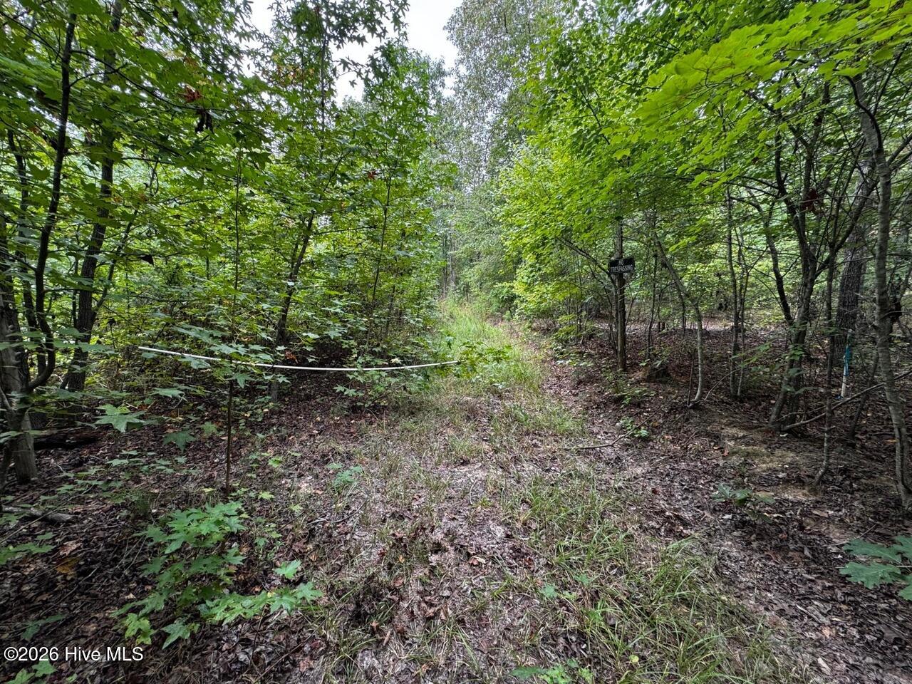 Photo 1 of Land for sale at 00 Gabe Rd, Saluda, SC 29138 | MLS# 100609162 | Listing updated on 2026-10-08