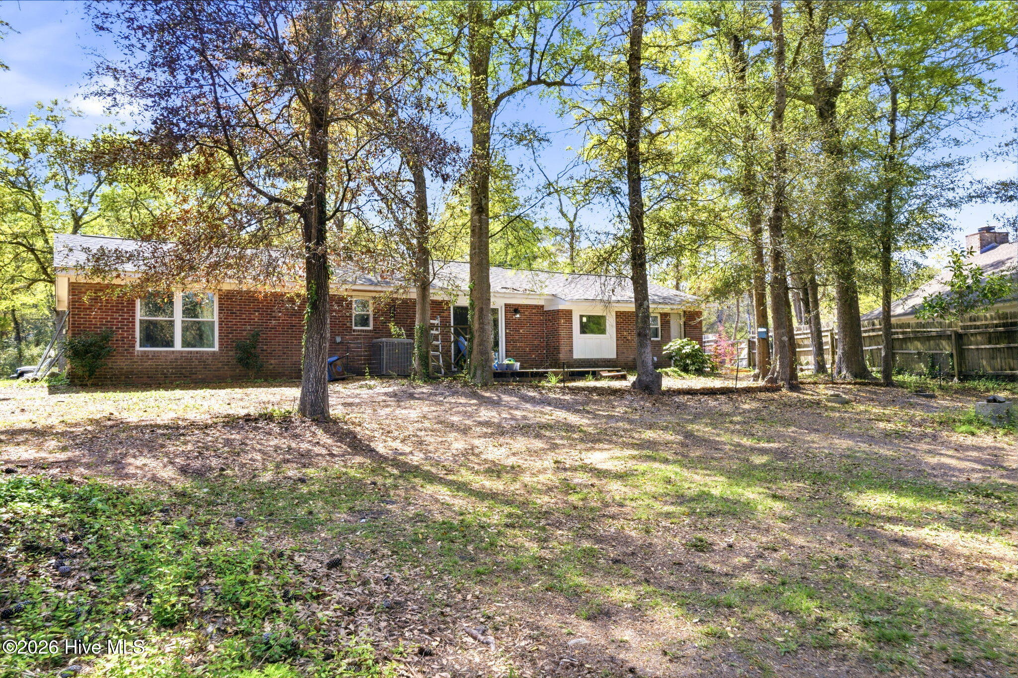 100564618 | Photo 45