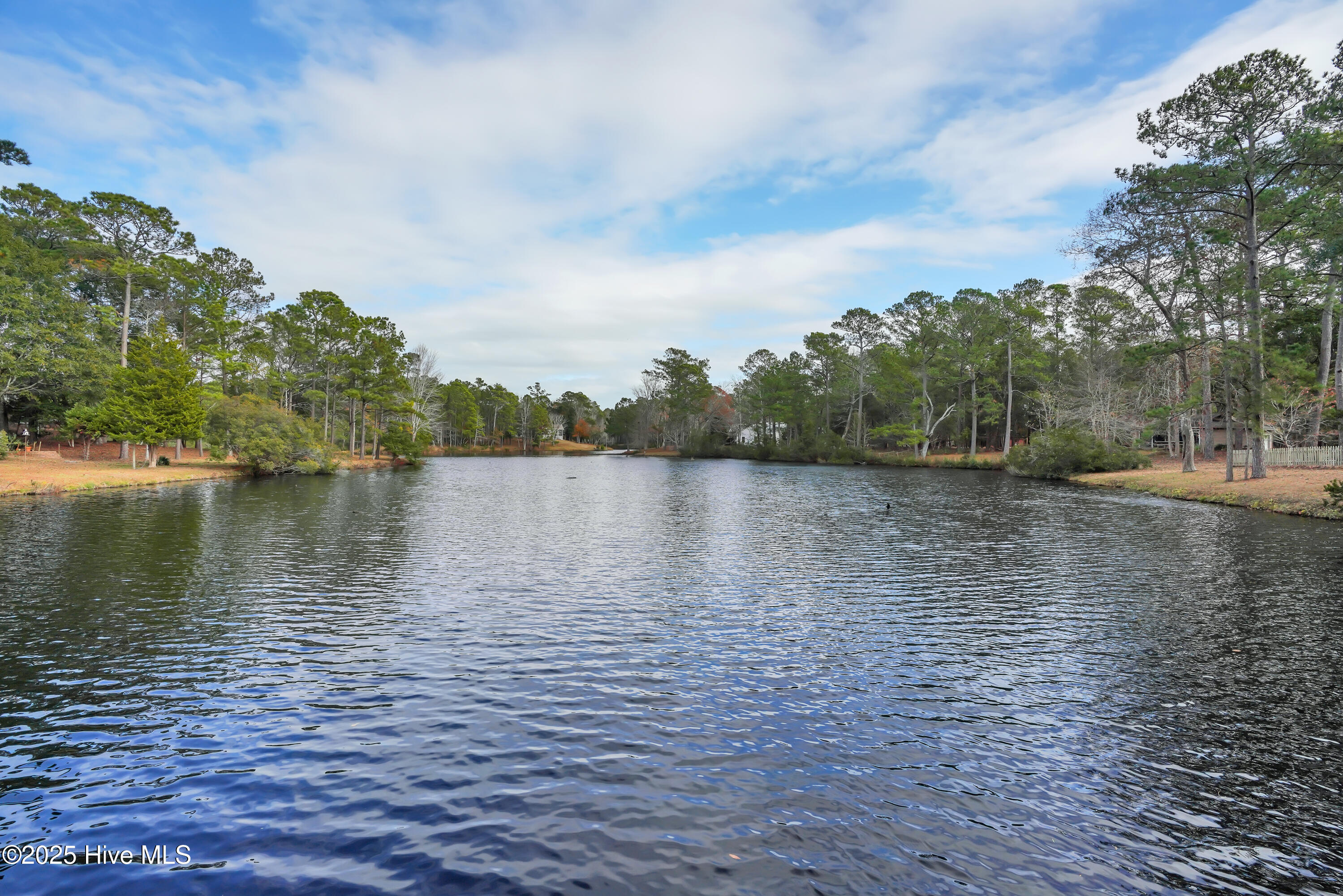 100536639 | Photo 84