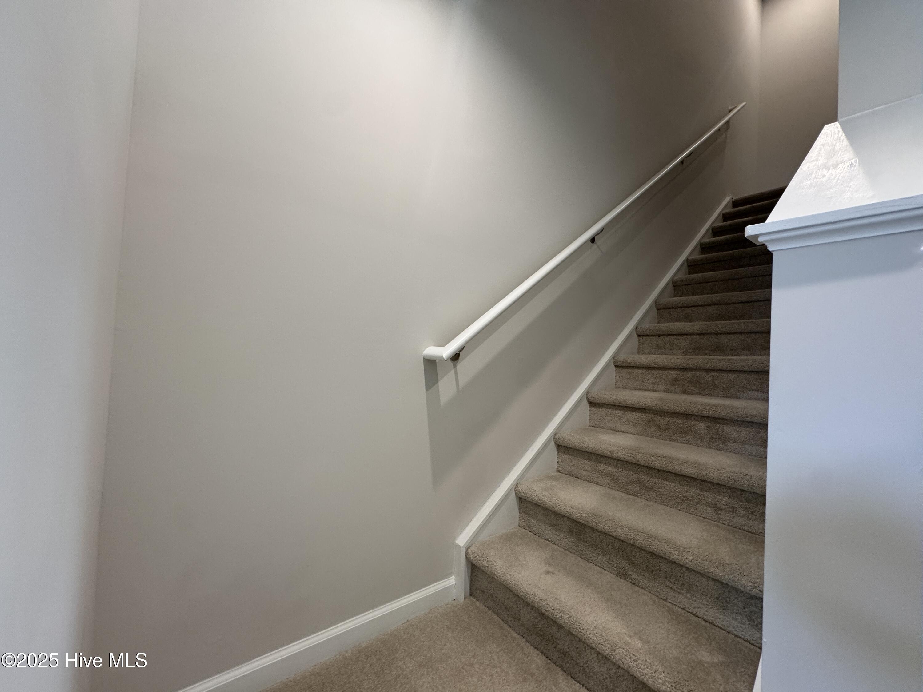 100542887 | Photo 11