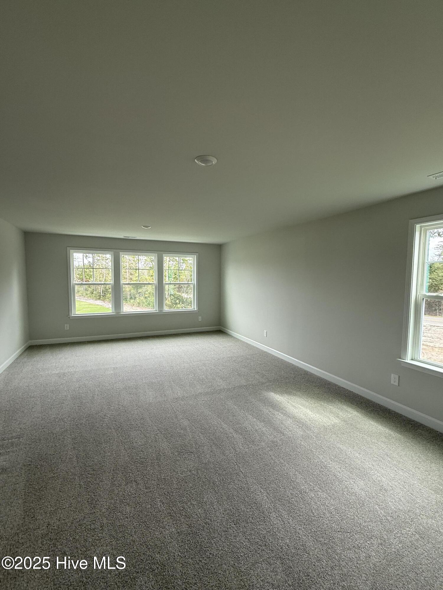 100536678 | Photo 13