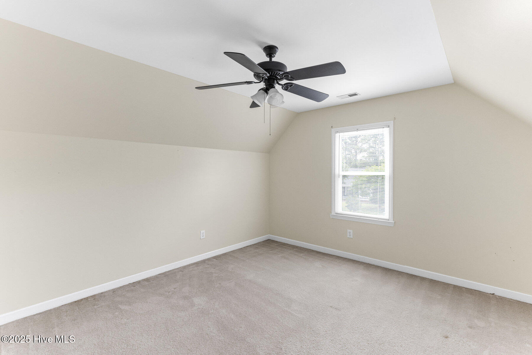 100505996 | Photo 35