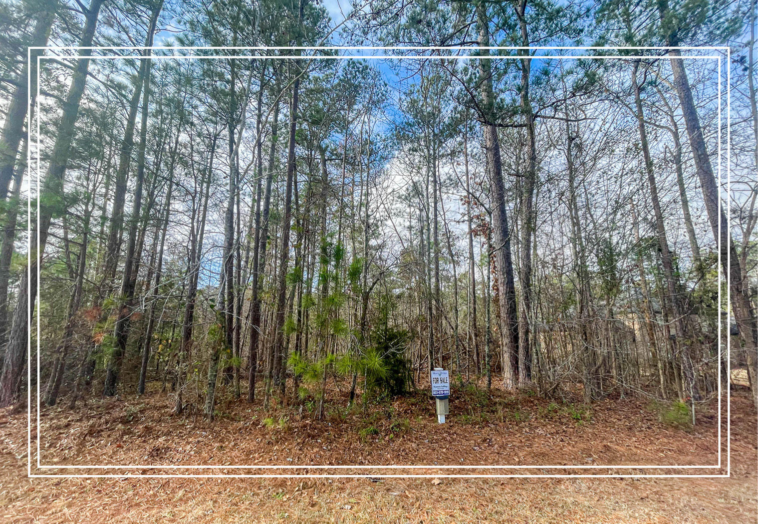 LOT M-15 CAVALRY RUN, North Augusta, SC, 29860