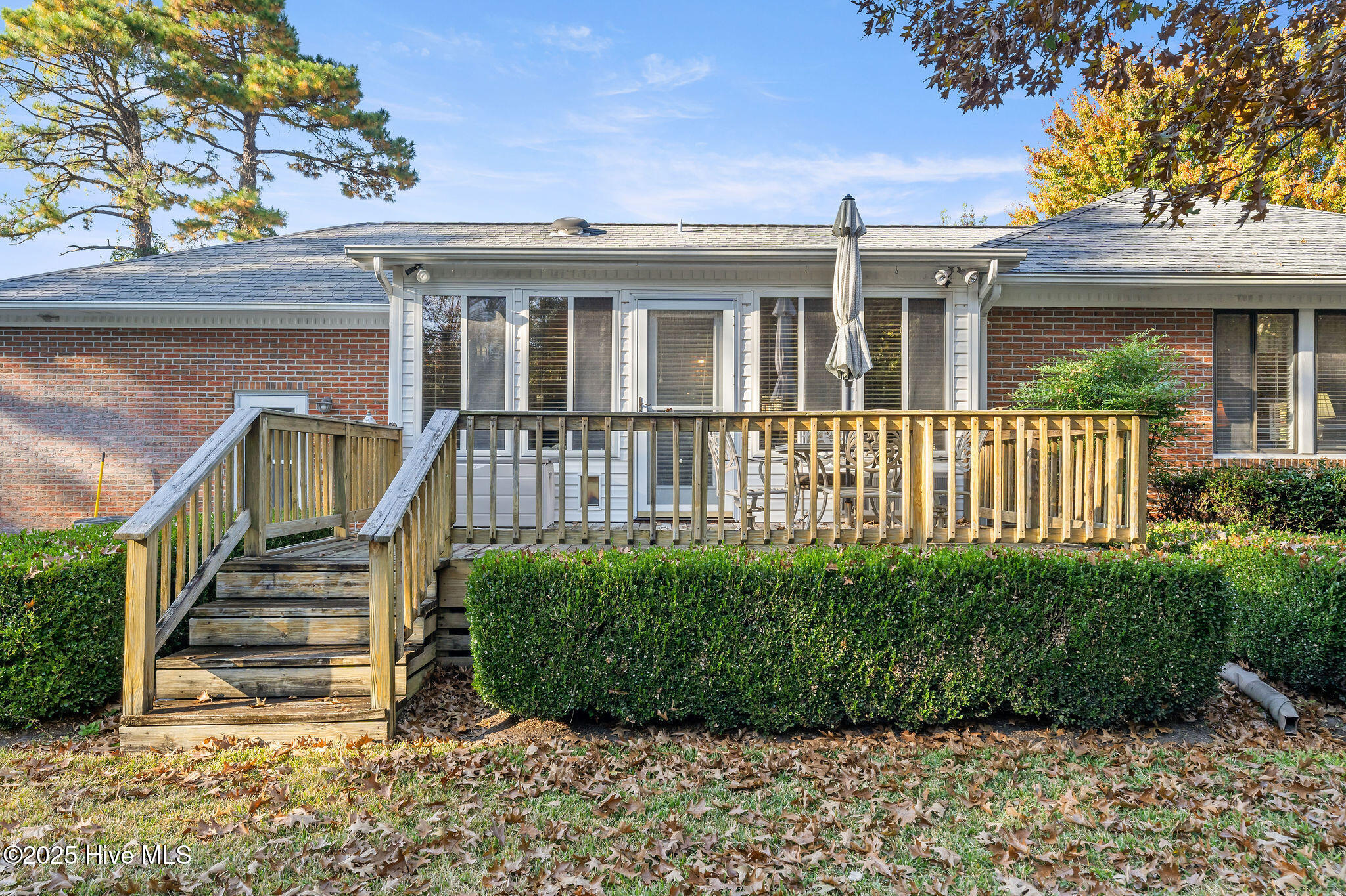 100542635 | Photo 40