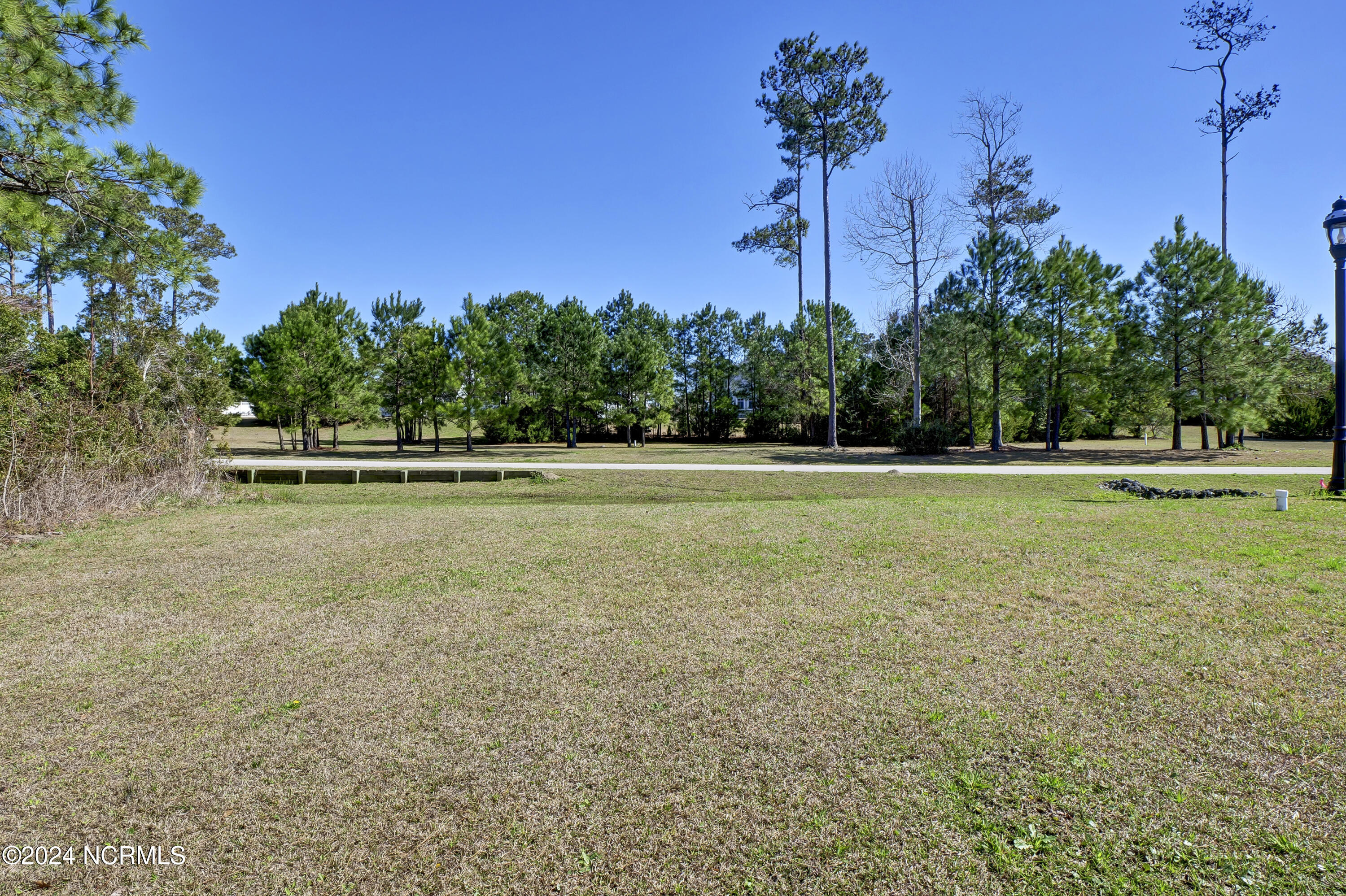 100559909 | Photo 12