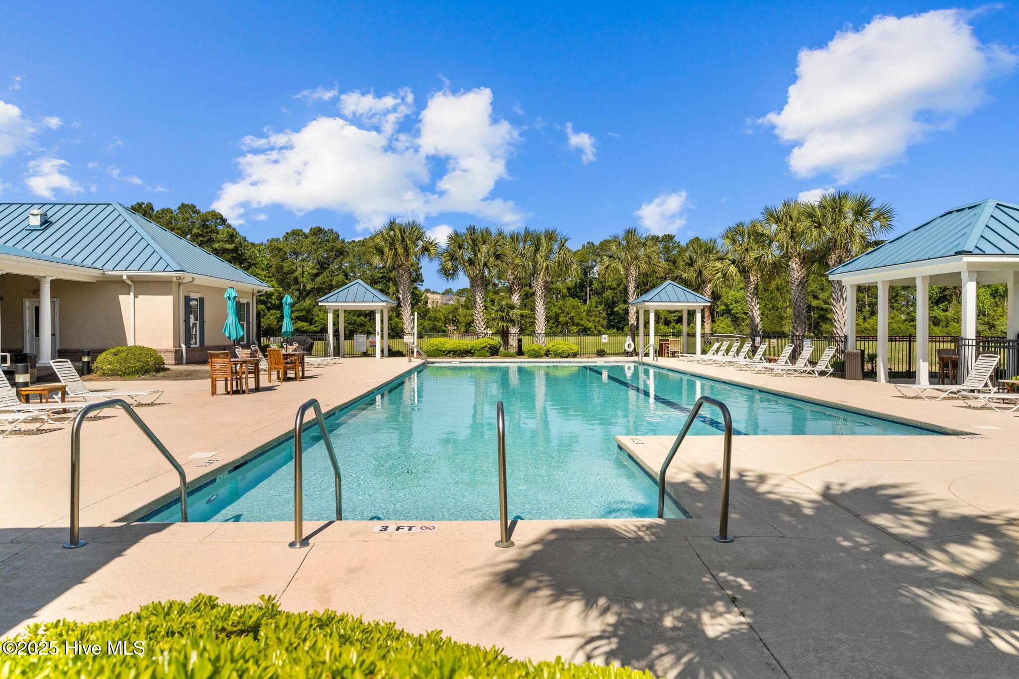 100535787 | Photo 78