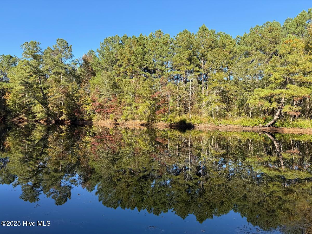 100540348 | Photo 26