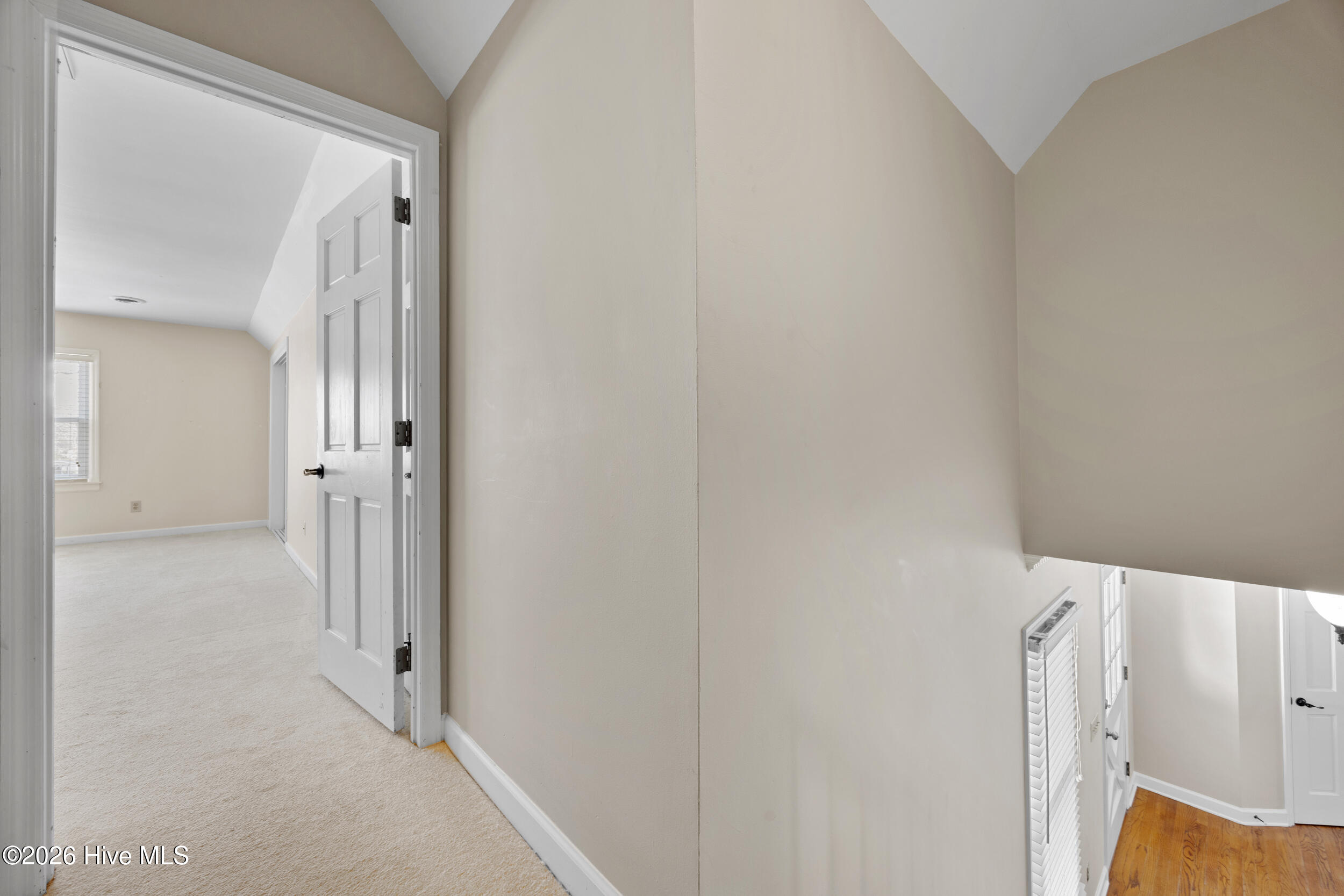 100558264 | Photo 30