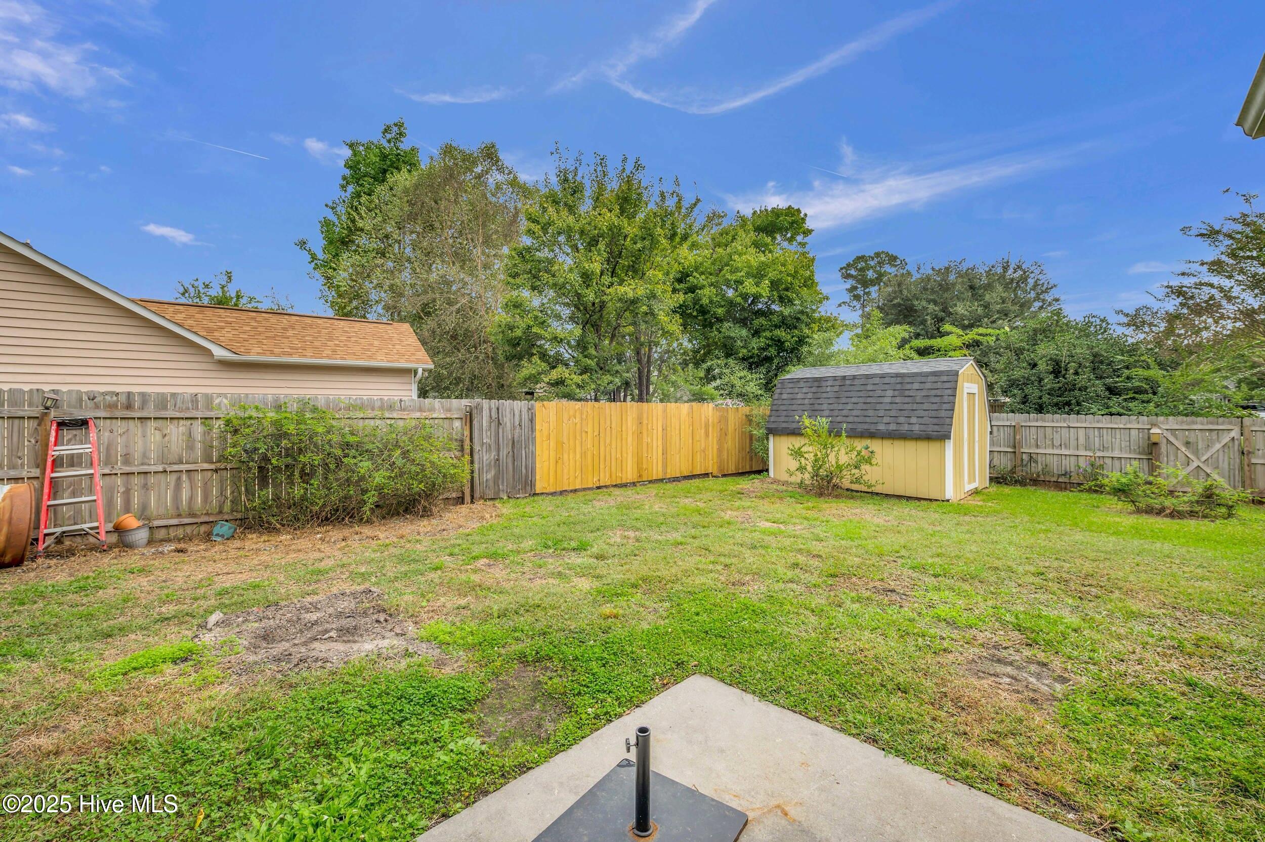 100535250 | Photo 28