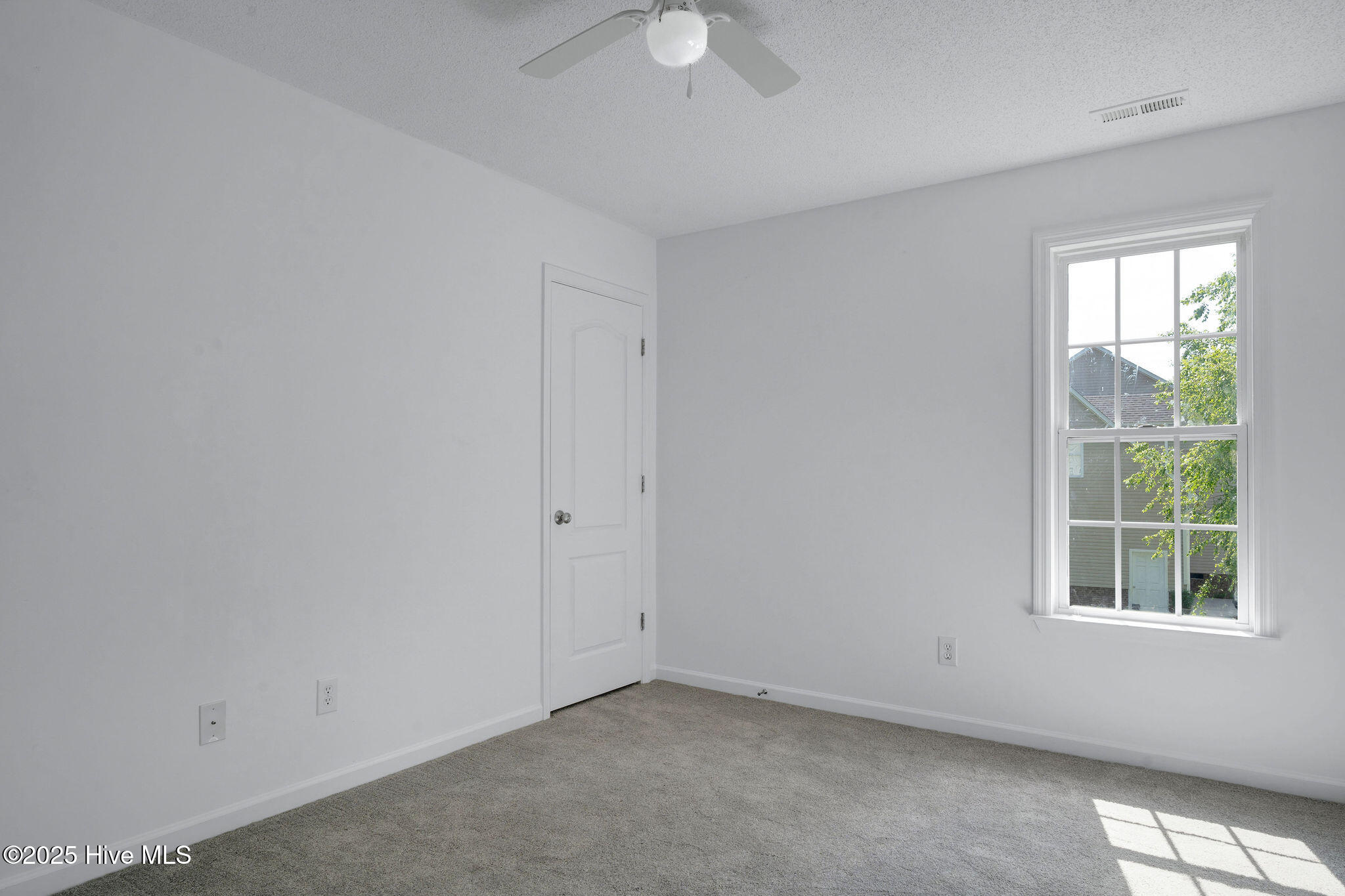 161 Bottle Branch Drive, Burgaw, NC 28425 – photo 23: 161bottlebranch22